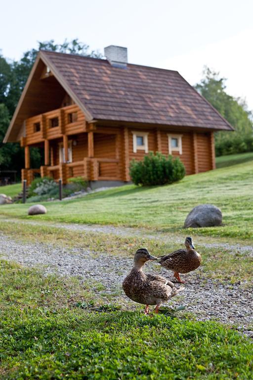 Partsilombi Holiday Home Otepaa Luaran gambar