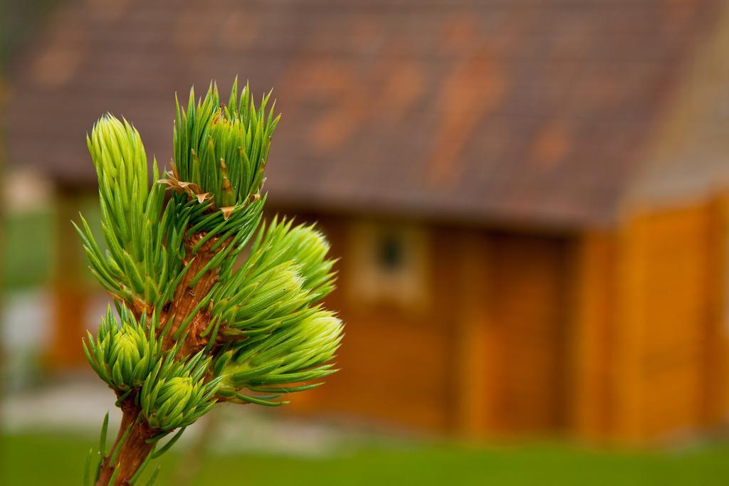 Partsilombi Holiday Home Otepaa Luaran gambar